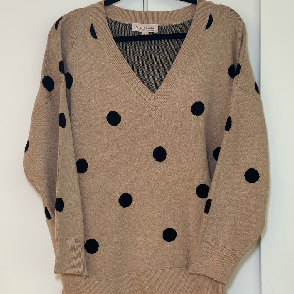 Philosophy V-Neck Sweater